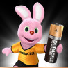 Pilhas Alcalinas Duracell LR06 (AA) 1.5V Plus Power - Pack 4